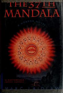 The 37th mandala : a novel