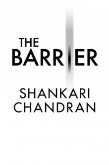 The Barrier