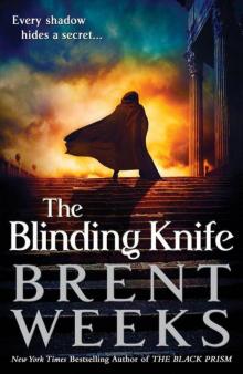 The Blinding Knife (Lightbringer)