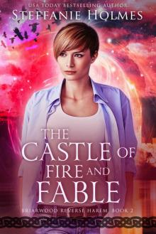 The Castle of Fire and Fable