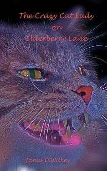 The Crazy Cat Lady on Elderberry Lane