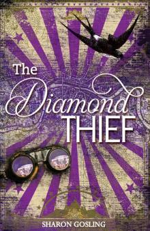 The Diamond Thief