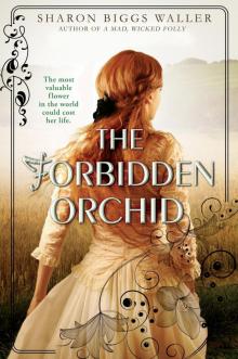 The Forbidden Orchid