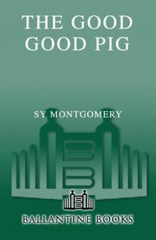 The Good Good Pig