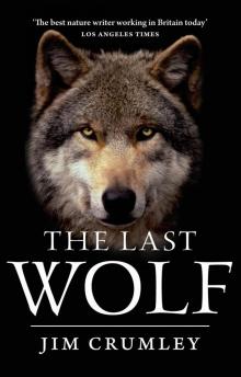 The Last Wolf