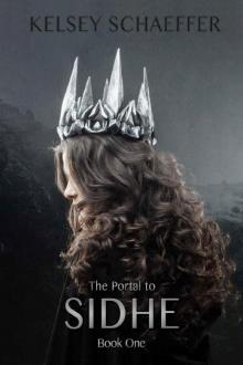 The Portal to Sidhe: Book 1