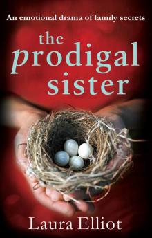 The Prodigal Sister: An emotional drama of family secrets