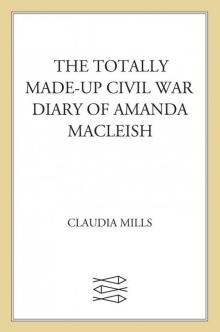 The Totally Made-up Civil War Diary of Amanda MacLeish