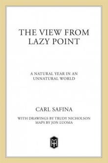 The View from Lazy Point: A Natural Year in an Unnatural World