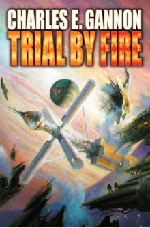 Trial by Fire - eARC