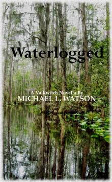 Waterlogged (The Valkwitch Saga)