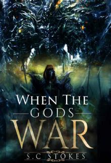 When The Gods War: Book 2 - Chronicles of Meldinar