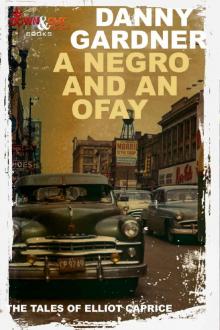 A Negro and an Ofay (The Tales of Elliot Caprice Book 1)