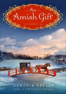 An Amish Gift