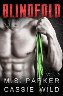 Blindfold Vol. 3: Alpha Billionaire Romance