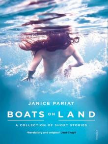 Boats on Land: A Collection of Short Stories