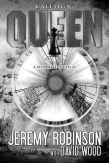 Callsign: Queen - Book I (A Zelda Baker - Chess Team Novella)