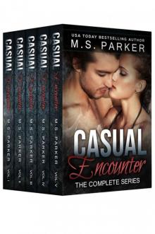 Casual Encounter: The Complete Series Box Set