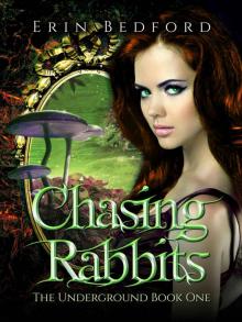 Chasing Rabbits