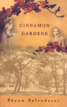 Cinnamon Gardens