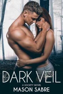 Dark Veil (The Society Series Book 3)