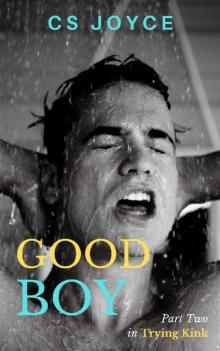 Good Boy (Trying Kink Serial Book 2)