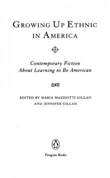 Growing Up Ethnic in America: Contemporary Fiction About Learning to Be American