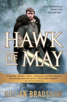 Hawk of May (Down the Long Way 1)