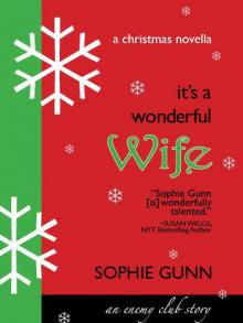 It's a Wonderful Wife A Christmas Novella