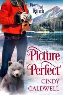 Picture Perfect (River's End Ranch Book 45)