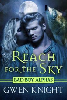 Reach for the Sky (Wolffe Peak Book 1)