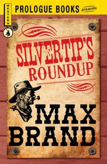 Silvertip's Roundup