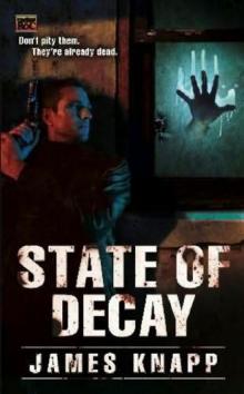 State of Decay r-1