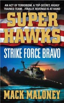 Strike Force Bravo s-2