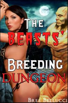 The Beasts' Breeding Dungeon (The Overlord's Depraved Tales)