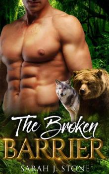 The Broken Barrier (Shadow Claw Book 4)