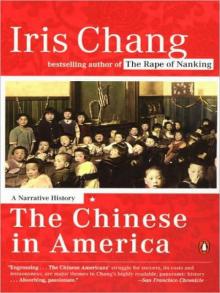 The Chinese in America