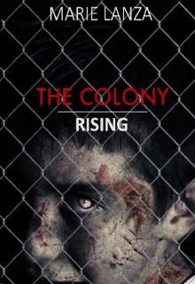 The Colony (Book 5): Rising