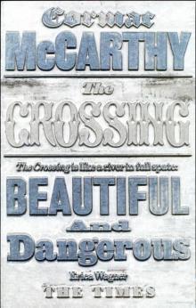 The Crossing tbt-2