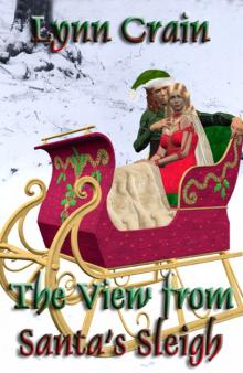 The View From Santa's Sleigh