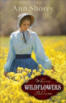 Where Wildflowers Bloom: A Novel (Sisters at Heart)