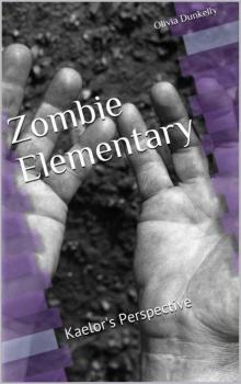 Zombie Elementary Kaelor's Perspective